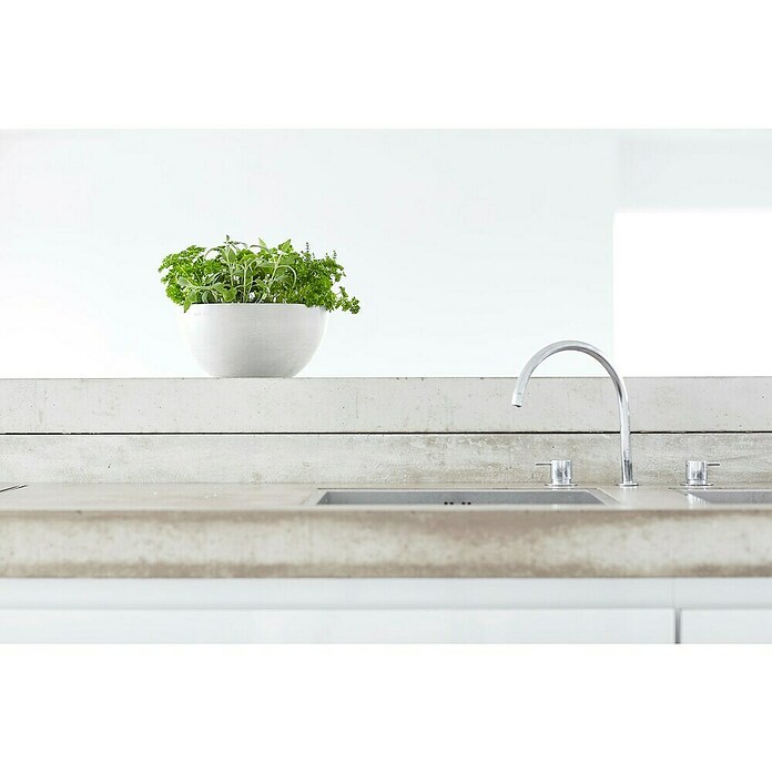 Ecopots Brussels Pflanzschale rund (Außenmaß (Ø x H): 25 x 12 cm, Kunststoff, Weiß) | BAUHAUS