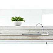 Ecopots Brussels Pflanzschale rund (Außenmaß (Ø x H): 25 x 12 cm, Kunststoff, Weiß) | BAUHAUS