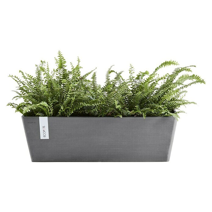 Ecopots Bruges Pflanzkasten mit Wasserreservoir (Außenmaß (L x B x H): 55,3 x 16,5 x 17,5 cm, Kunststoff, Grau) | BAUHAUS