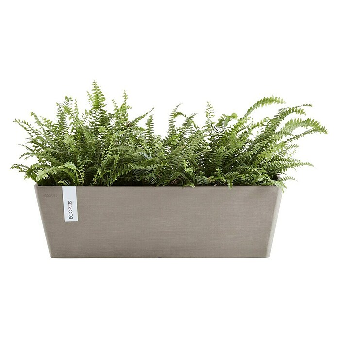 Ecopots Bruges Pflanzkasten mit Wasserreservoir (Außenmaß (L x B x H): 55,3 x 16,5 x 17,5 cm, Kunststoff, Braungrau) | BAUHAUS