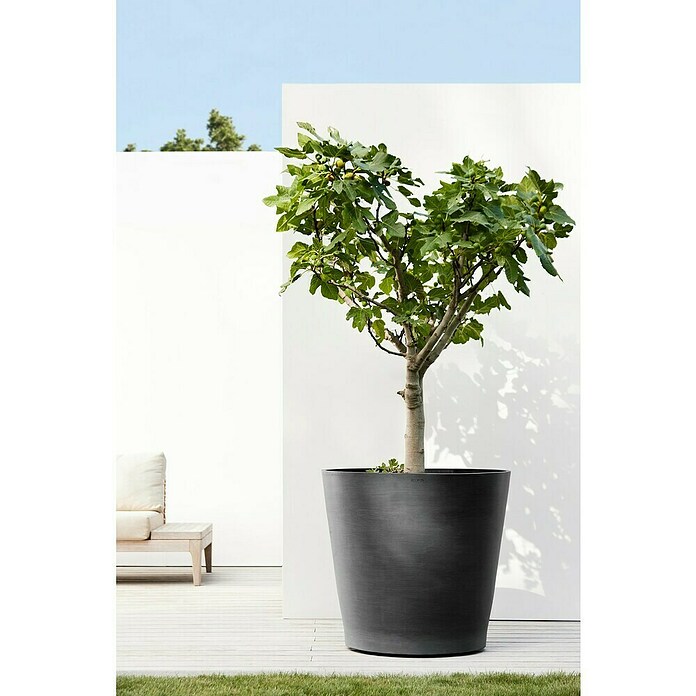 Ecopots Amsterdam Pflanzkübel rund Wheels (Außenmaß (Ø x H): 80 x 74,2 cm, Kunststoff, Dunkelgrau, Ausstattung Pflanzgefäß: Rollen) | BAUHAUS