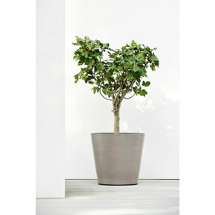 Ecopots Amsterdam Pflanzkübel rund Wheels (Außenmaß (Ø x H): 80 x 74,2 cm, Kunststoff, Braungrau, Ausstattung Pflanzgefäß: Rollen) | BAUHAUS