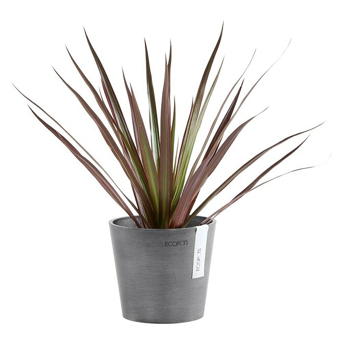 Ecopots Amsterdam Pflanztopf Amsterdam (Außenmaß (Ø x H): 13 x 11,4 cm, Kunststoff, Grau) | BAUHAUS