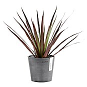 Ecopots Amsterdam Pflanztopf Amsterdam (Außenmaß (Ø x H): 13 x 11,4 cm, Kunststoff, Grau) | BAUHAUS