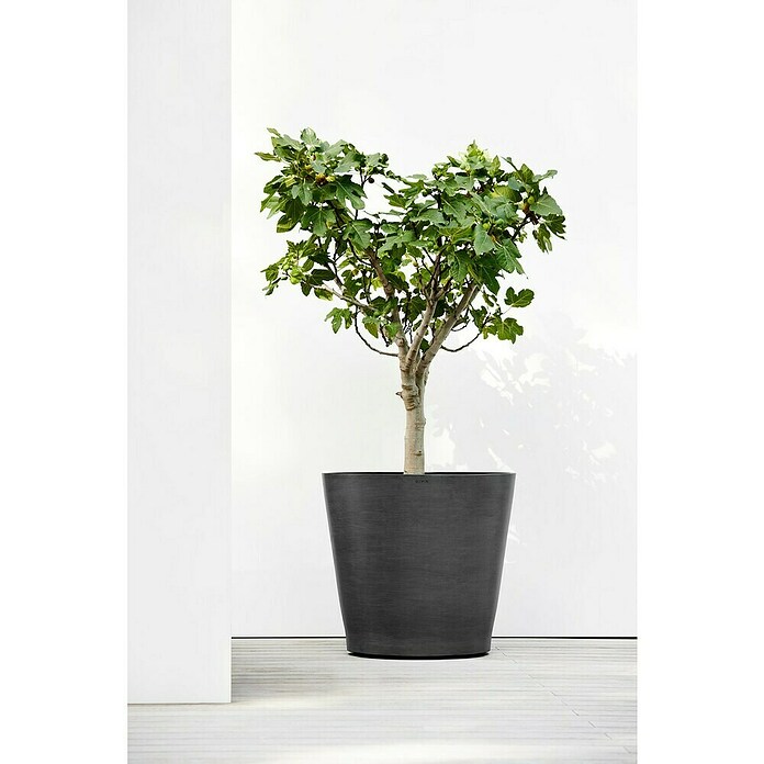 Ecopots Amsterdam Pflanzkübel rund Wheels (Außenmaß (Ø x H): 80 x 74,2 cm, Kunststoff, Dunkelgrau, Ausstattung Pflanzgefäß: Rollen) | BAUHAUS