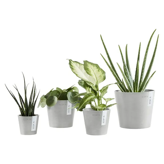 Ecopots Amsterdam Pflanztopf Mini - Außenmaß (Ø x H): 10,5 x 9,2 cm, Kunststoff, Weiß, Grau - Eine Reihe von vier Ecopot-Pflanzgefäßen in abgestuften Größen, die jeweils mit einer anderen Grünpflanze bepflanzt sind.