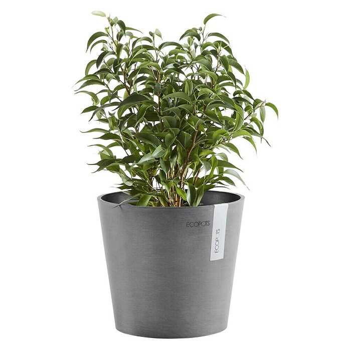 Ecopots Amsterdam Pflanztopf Amsterdam (Außenmaß (Ø x H): 17 x 14,9 cm, Kunststoff, Grau) | BAUHAUS