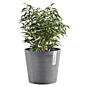 Ecopots Amsterdam Pflanztopf Amsterdam (Außenmaß (Ø x H): 17 x 14,9 cm, Kunststoff, Grau) | BAUHAUS