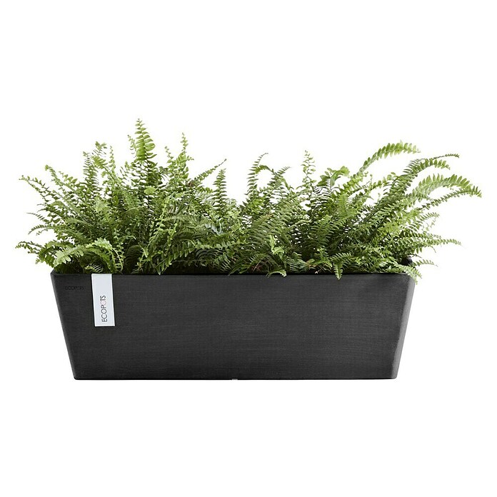 Ecopots Bruges Pflanzkasten mit Wasserreservoir (Außenmaß (L x B x H): 55,3 x 16,5 x 17,5 cm, Kunststoff, Dunkelgrau) | BAUHAUS