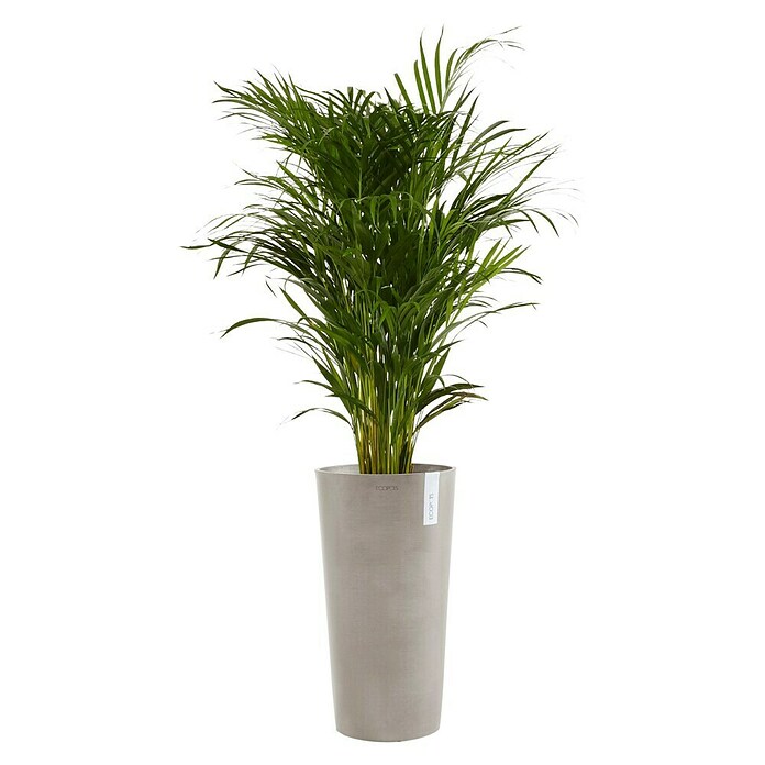 Ecopots Amsterdam Pflanzsäule rund High (Außenmaß (Ø x H): 41,5 x 76,8 cm, Kunststoff, Taupe) | BAUHAUS