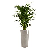 Ecopots Amsterdam Pflanzsäule rund High (Außenmaß (Ø x H): 41,5 x 76,8 cm, Kunststoff, Taupe) | BAUHAUS