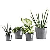 Ecopots Amsterdam Pflanztopf Amsterdam (Außenmaß (Ø x H): 17 x 14,9 cm, Kunststoff, Grau) | BAUHAUS