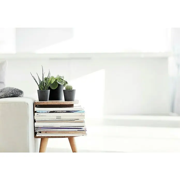 Ecopots Amsterdam Pflanztopf Mini - Außenmaß (Ø x H): 8 x 7 cm, Kunststoff, Dunkelgrau - Eine Nahaufnahme von drei kleinen Pflanzen in Töpfen, die auf einem Stapel Bücher stehen, auf einem Beistelltischchen, mit einem hellen, weißen Hintergrund.