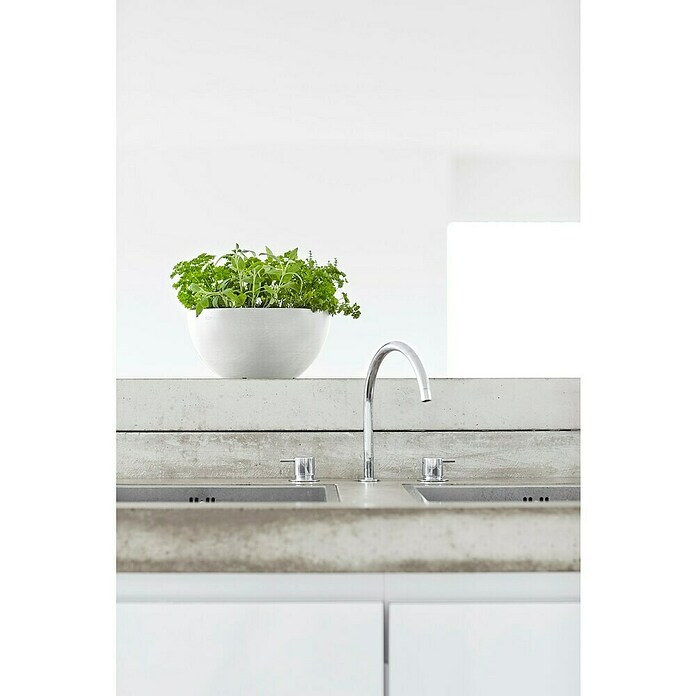 Ecopots Brussels Pflanzschale rund (Außenmaß (Ø x H): 25 x 12 cm, Kunststoff, Weiß) | BAUHAUS