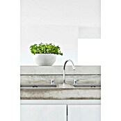 Ecopots Brussels Pflanzschale rund (Außenmaß (Ø x H): 25 x 12 cm, Kunststoff, Weiß) | BAUHAUS