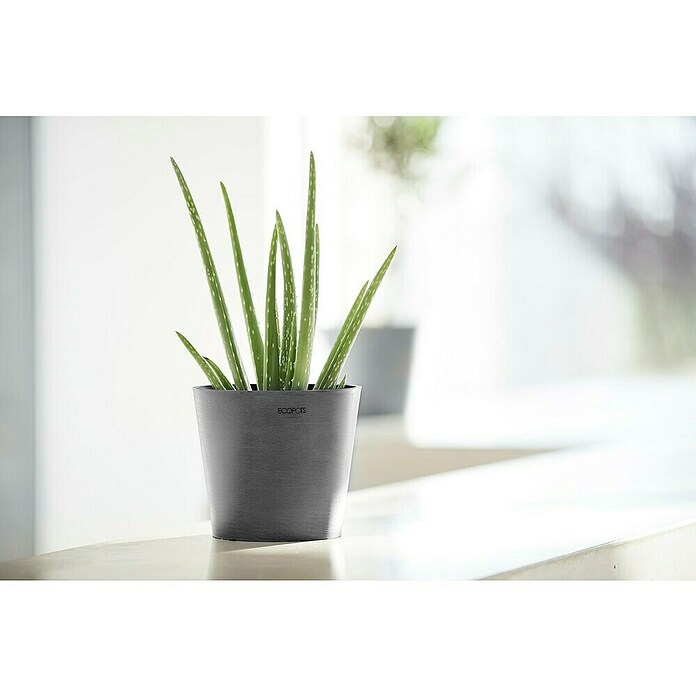 Ecopots Amsterdam Pflanztopf Amsterdam (Außenmaß (Ø x H): 17 x 14,9 cm, Kunststoff, Grau) | BAUHAUS