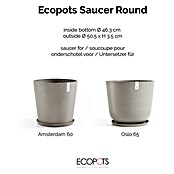 Ecopots Amsterdam Blumentopf-Untersetzer (Außenmaß (Ø x H): 49 x 3,5 cm, Kunststoff, Taupe) | BAUHAUS