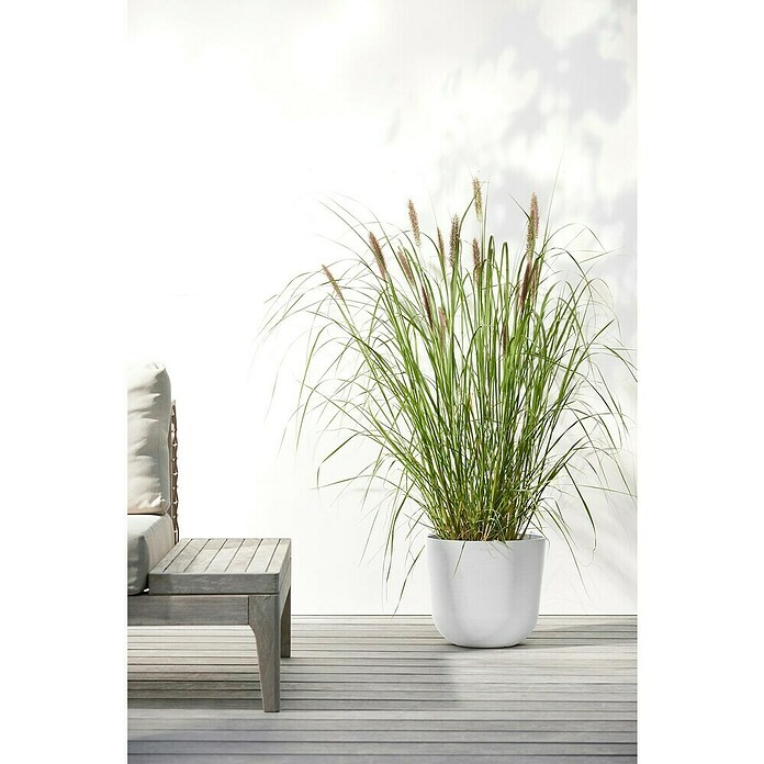 Ecopots Oslo Pflanztopf mit Wasserspeicher (Außenmaß (Ø x H): 25 x 21,4 cm, Kunststoff, Weiß) | BAUHAUS