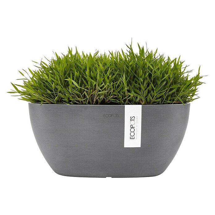Ecopots Sofia Pflanzschale Sofia (L x B x H: 29,5 x 13,4 x 13,5 cm, Grau) | BAUHAUS