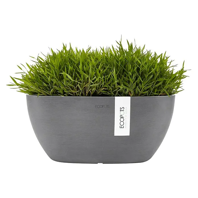 Ecopots Sofia Pflanzschale rund Oval - Grau - Das Bild zeigt einen grauen Ecopots-Blumentopf mit üppigem, grünem Gras. Der Topf hat ein schlichtes Design mit einem Markenetikett.