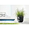 Ecopots Oslo Pflanztopf (Außenmaß (Ø x H): 45 x 39,4 cm, Kunststoff, Dunkelgrau) | BAUHAUS