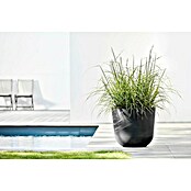 Ecopots Oslo Pflanztopf (Außenmaß (Ø x H): 45 x 39,4 cm, Kunststoff, Dunkelgrau) | BAUHAUS