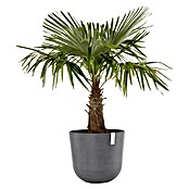 Ecopots Oslo Pflanztopf (Außenmaß (Ø x H): 55 x 48,5 cm, Kunststoff, Grau) | BAUHAUS
