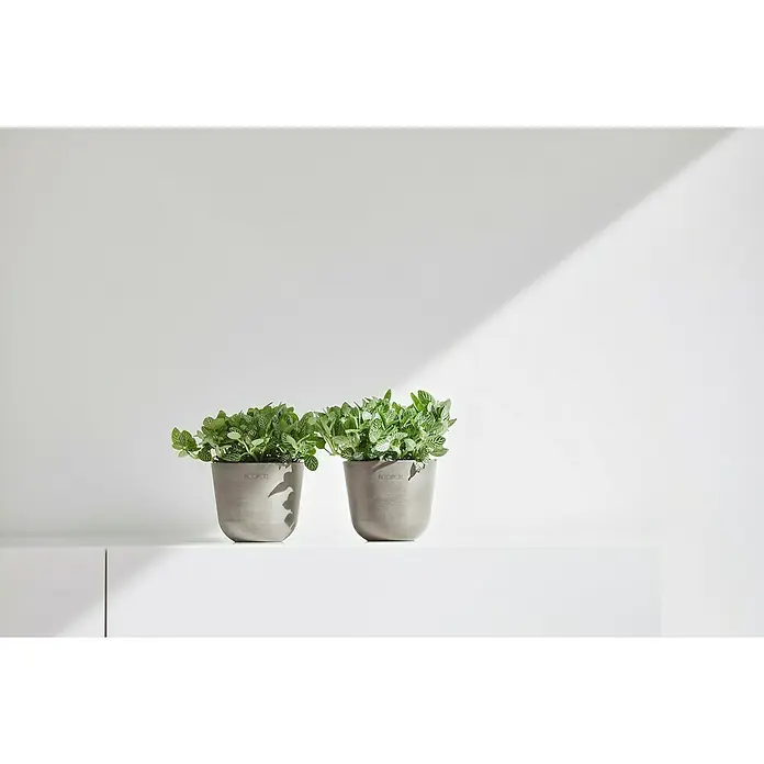 Ecopots Oslo Pflanztopf Mini - Außenmaß (Ø x H): 11,4 x 9,5 cm, Kunststoff, Braungrau - Zwei Ecopots mit grünen Pflanzen auf einem weißen Regal, beleuchtet von einem sanften Licht.
