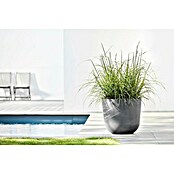 Ecopots Oslo Pflanztopf (Außenmaß (Ø x H): 45 x 39,4 cm, Kunststoff, Grau) | BAUHAUS