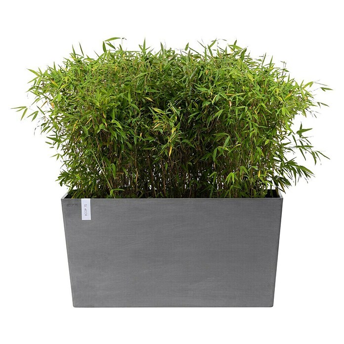Ecopots Pflanzkasten Paris (Außenmaß (L x B x H): 100,5 x 39,6 x 51,8 cm, Kunststoff, Grau, Ausstattung Pflanzgefäß: Rollen) | BAUHAUS