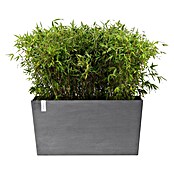 Ecopots Pflanzkasten Paris (Außenmaß (L x B x H): 100,5 x 39,6 x 51,8 cm, Kunststoff, Grau, Ausstattung Pflanzgefäß: Rollen) | BAUHAUS
