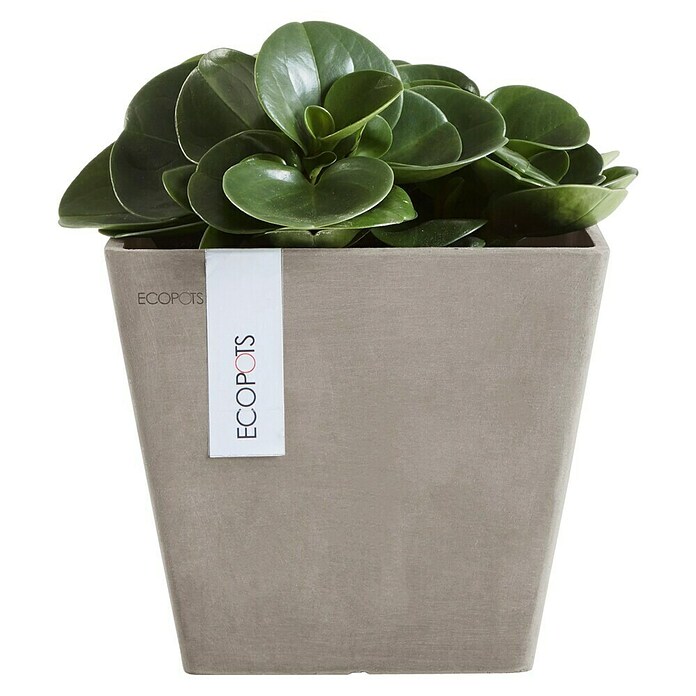 Ecopots Rotterdam Pflanzkasten (Außenmaß (L x B x H): 20,3 x 20,3 x 17,8 cm, Kunststoff, Braungrau) | BAUHAUS