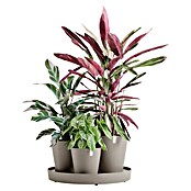 Ecopots Pflanztopf Dubai (Außenmaß (Ø x H): 56,5 x 30,7 cm, Kunststoff, Taupe, 3 Stk.) | BAUHAUS
