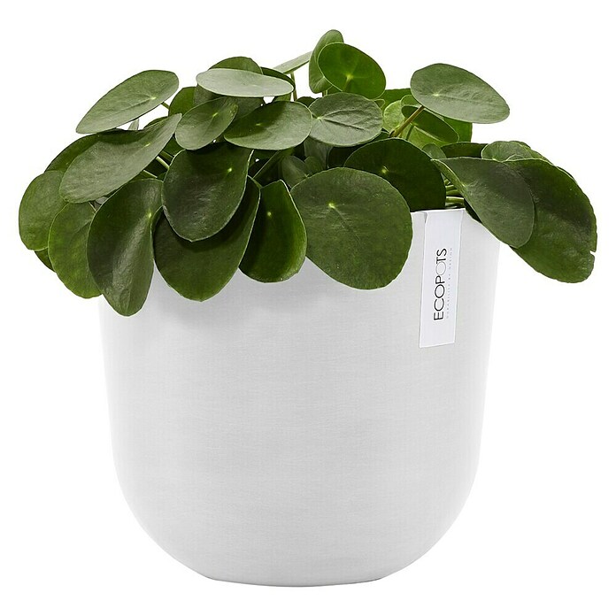 Ecopots Oslo Pflanztopf mit Wasserspeicher (Außenmaß (Ø x H): 25 x 21,4 cm, Kunststoff, Weiß) | BAUHAUS