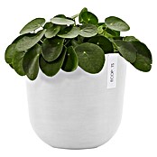 Ecopots Oslo Pflanztopf mit Wasserspeicher (Außenmaß (Ø x H): 25 x 21,4 cm, Kunststoff, Weiß) | BAUHAUS