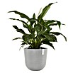 Ecopots Oslo Pflanztopf mit Wasserspeicher (Außenmaß (Ø x H): 45 x 39,4 cm, Kunststoff, Weißgrau) | BAUHAUS