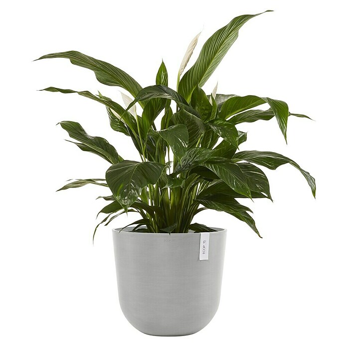 Ecopots Oslo Pflanztopf mit Wasserspeicher (Außenmaß (Ø x H): 45 x 39,4 cm, Kunststoff, Weißgrau) | BAUHAUS