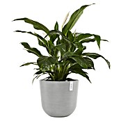 Ecopots Oslo Pflanztopf mit Wasserspeicher (Außenmaß (Ø x H): 45 x 39,4 cm, Kunststoff, Weißgrau) | BAUHAUS