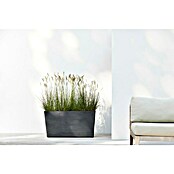 Ecopots Pflanzkasten Paris (Außenmaß (L x B x H): 100,5 x 39,6 x 51,8 cm, Kunststoff, Dunkelgrau, Ausstattung Pflanzgefäß: Rollen) | BAUHAUS