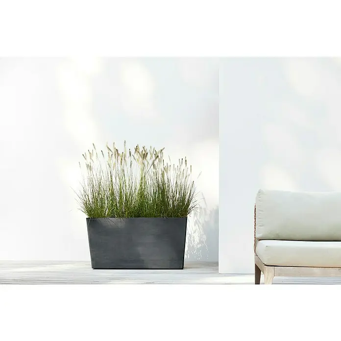 Ecopots Pflanzkasten Paris - Außenmaß (L x B x H): 100,5 x 39,6 x 51,8 cm, Kunststoff, Dunkelgrau, Ausstattung Pflanzgefäß: Rollen - Elegantes Foto eines grauen, rechteckigen Pflanzgefäßes mit Ziergras, das einen Hauch von modernem Design und natürlicher Schönheit vermittelt.