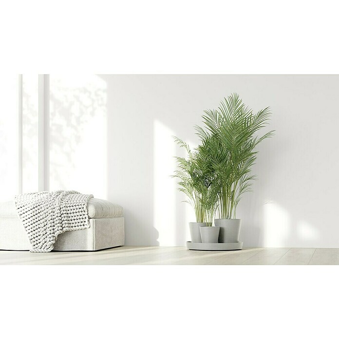 Ecopots Pflanztopf Dubai (Außenmaß (Ø x H): 56,5 x 30,7 cm, Kunststoff, Weiß Grau, 3 Stk.) | BAUHAUS