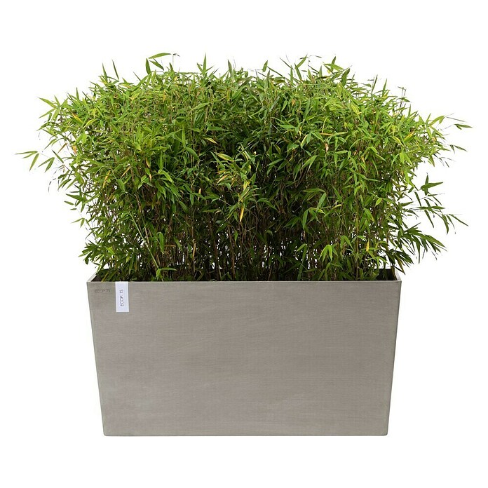 Ecopots Pflanzkasten Paris (Außenmaß (L x B x H): 100,5 x 39,6 x 51,8 cm, Kunststoff, Braungrau, Ausstattung Pflanzgefäß: Rollen) | BAUHAUS