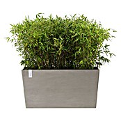 Ecopots Pflanzkasten Paris (Außenmaß (L x B x H): 100,5 x 39,6 x 51,8 cm, Kunststoff, Braungrau, Ausstattung Pflanzgefäß: Rollen) | BAUHAUS