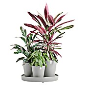 Ecopots Pflanztopf Dubai (Außenmaß (Ø x H): 56,5 x 30,7 cm, Kunststoff, Weiß Grau, 3 Stk.) | BAUHAUS