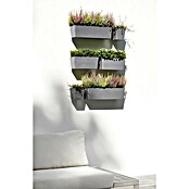 Ecopots Pflanzkasten Manhatten (Außenmaß (L x B x H): 55 x 17,2 x 15,3 cm, Kunststoff, Grau, L) | BAUHAUS