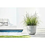 Ecopots Oslo Pflanztopf mit Wasserspeicher (Außenmaß (Ø x H): 45 x 39,4 cm, Kunststoff, Weißgrau) | BAUHAUS
