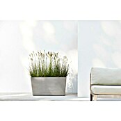 Ecopots Pflanzkasten Paris (Außenmaß (L x B x H): 100,5 x 39,6 x 51,8 cm, Kunststoff, Braungrau, Ausstattung Pflanzgefäß: Rollen) | BAUHAUS