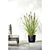 Ecopots Oslo Pflanztopf mit Wasserspeicher (Außenmaß (Ø x H): 25 x 21,4 cm, Kunststoff, Dunkelgrau) | BAUHAUS