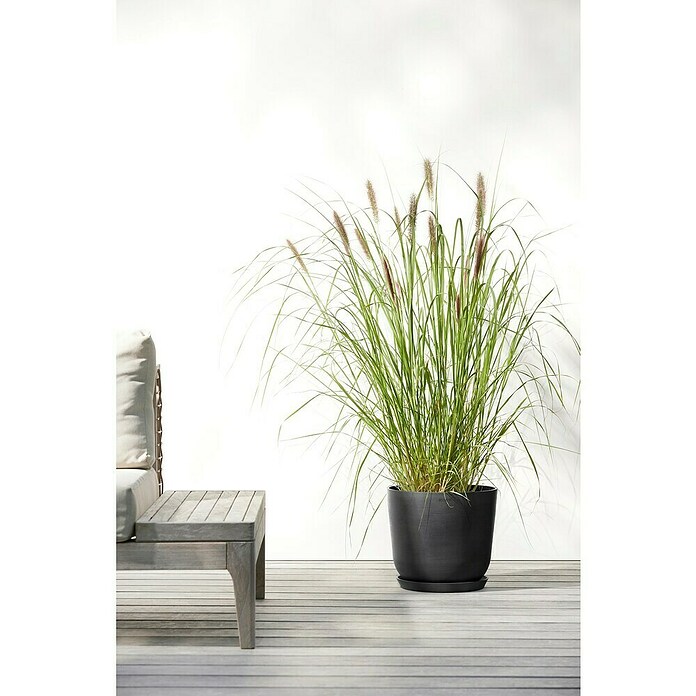 Ecopots Oslo Pflanztopf (Außenmaß (Ø x H): 25 x 21,8 cm, Kunststoff, Dunkelgrau) | BAUHAUS