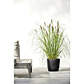 Ecopots Oslo Pflanztopf (Außenmaß (Ø x H): 25 x 21,8 cm, Kunststoff, Dunkelgrau) | BAUHAUS